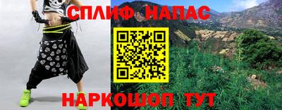 крисы Камень-на-Оби