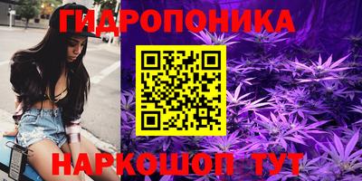крисы Камень-на-Оби
